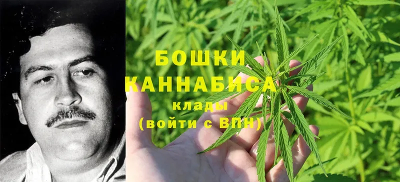 Бошки Шишки THC 21%  Аркадак 